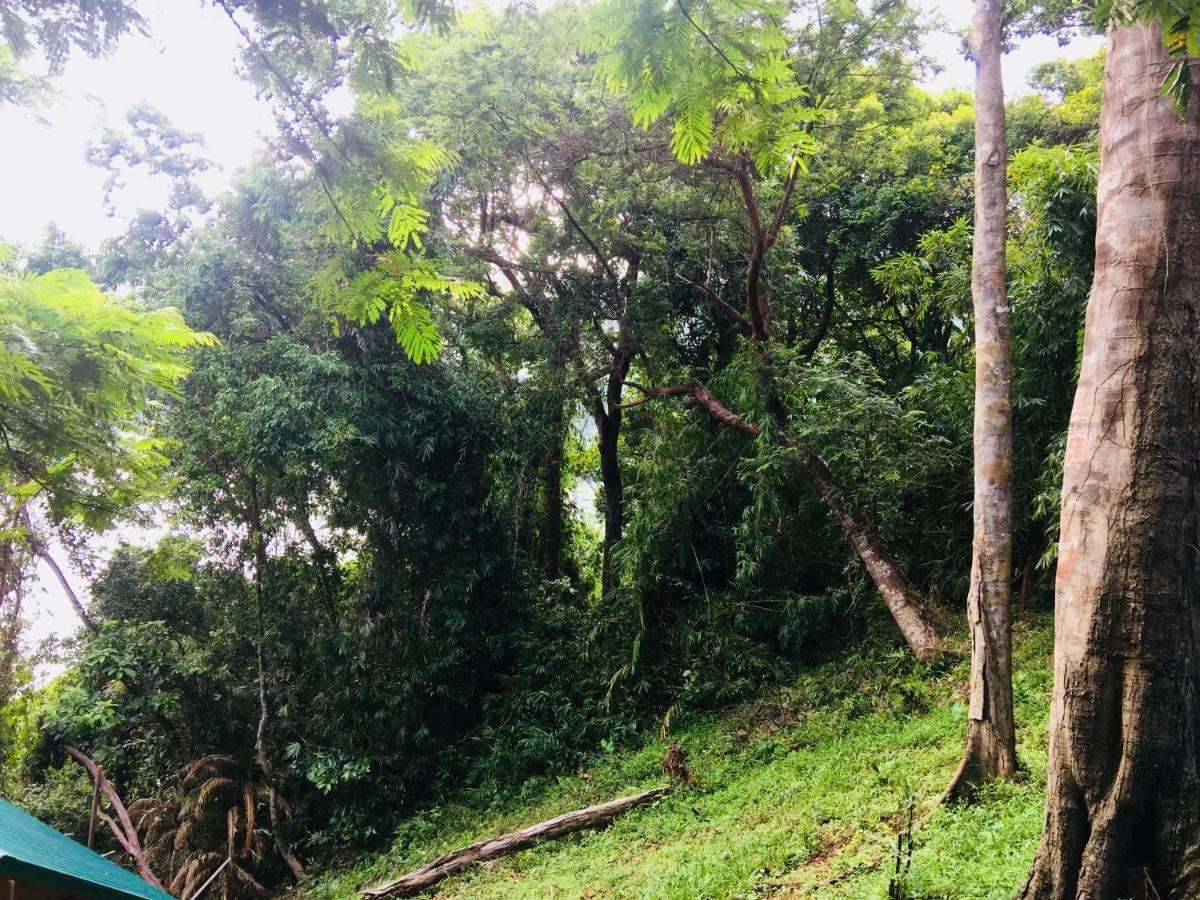 Camp Talusi Hills Overlooking El Nido Exterior photo