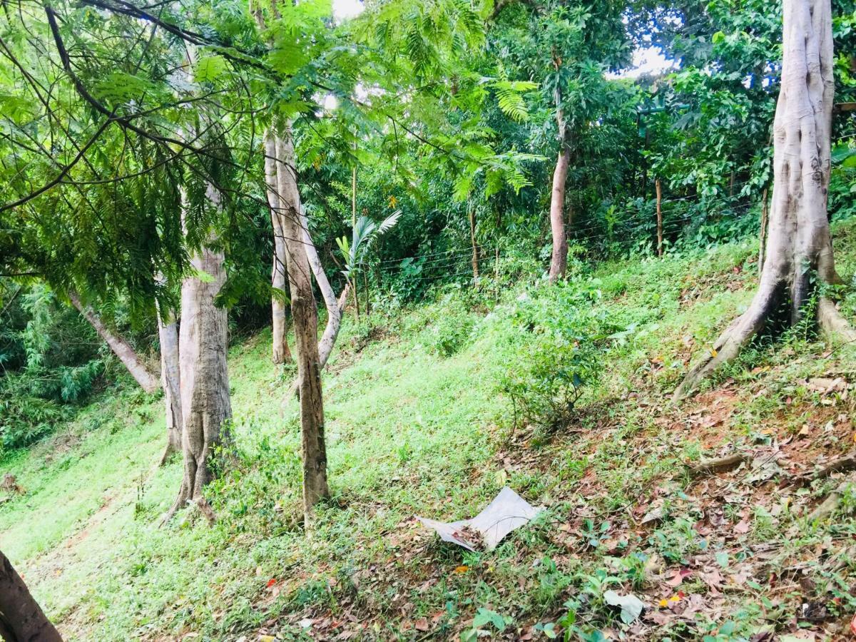 Camp Talusi Hills Overlooking El Nido Exterior photo