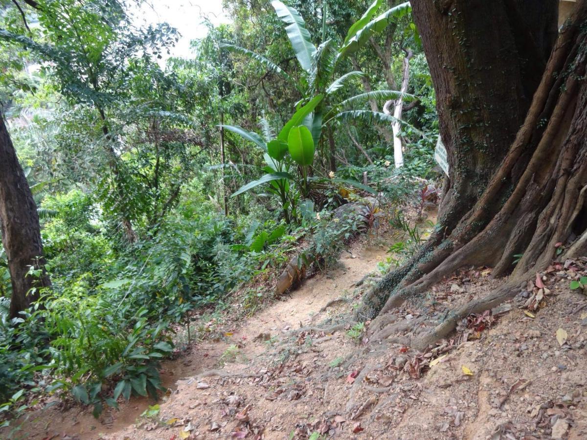 Camp Talusi Hills Overlooking El Nido Exterior photo