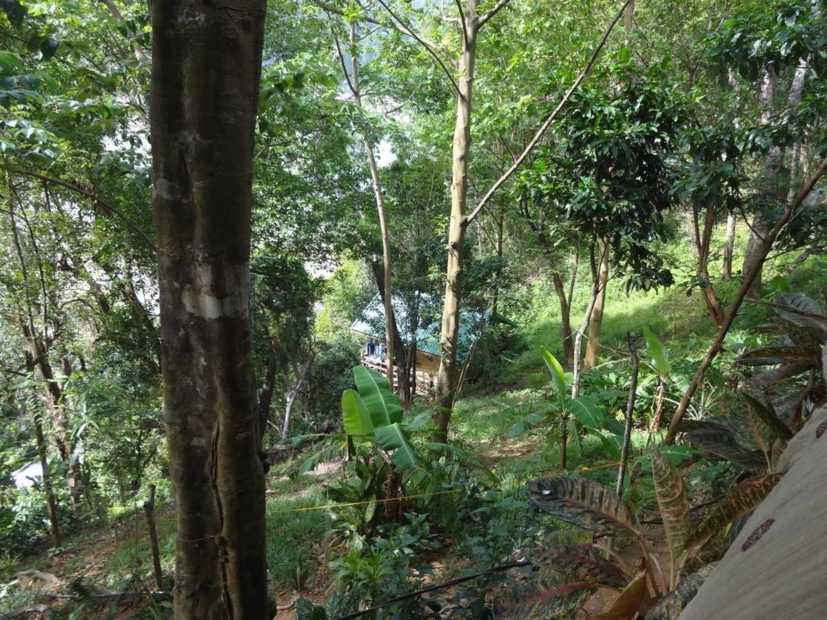 Camp Talusi Hills Overlooking El Nido Exterior photo